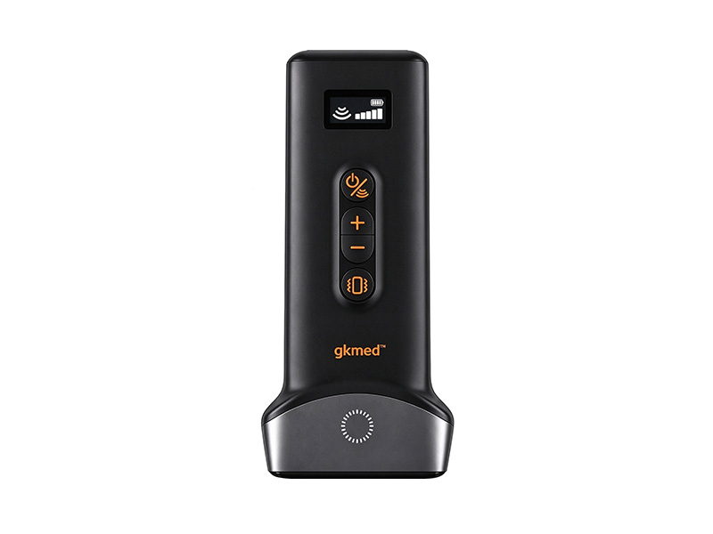 U5 Handheld Ultrasonic Therapy Device
